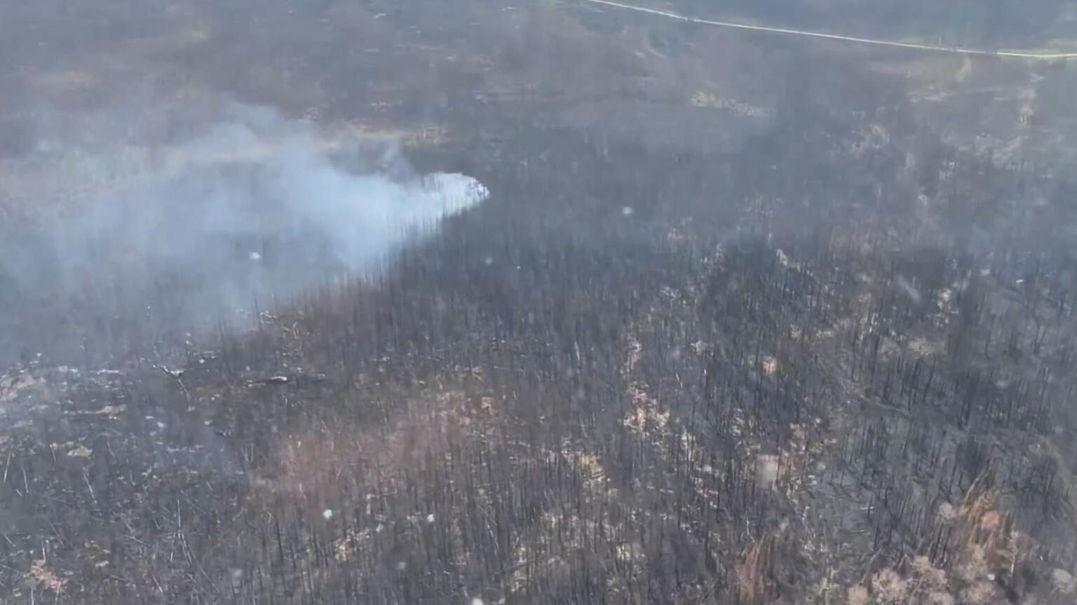 Feux de forêt Des impacts considérables à LebelsurQuévillon Noovo